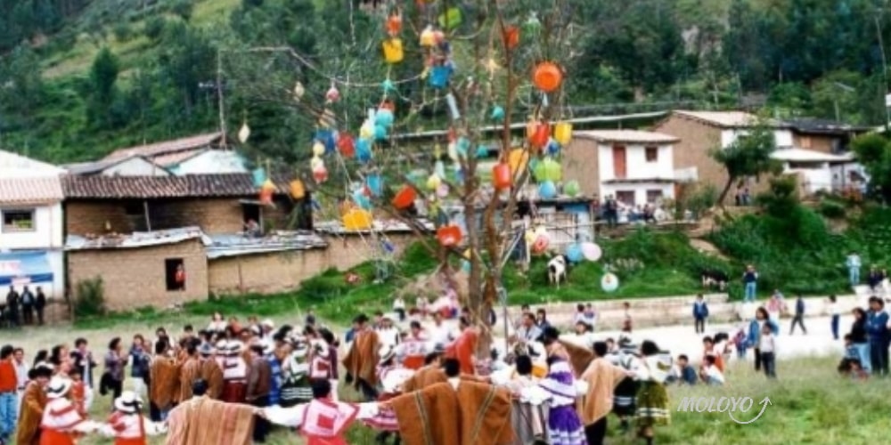 EL PALO CILULO